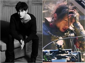 生肖与运势：命运的捉弄