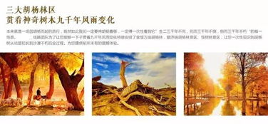 我的额济纳记忆