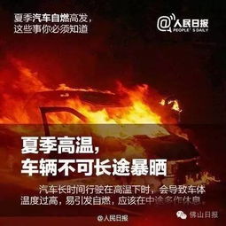 第二章：生肖与音符的纠缠