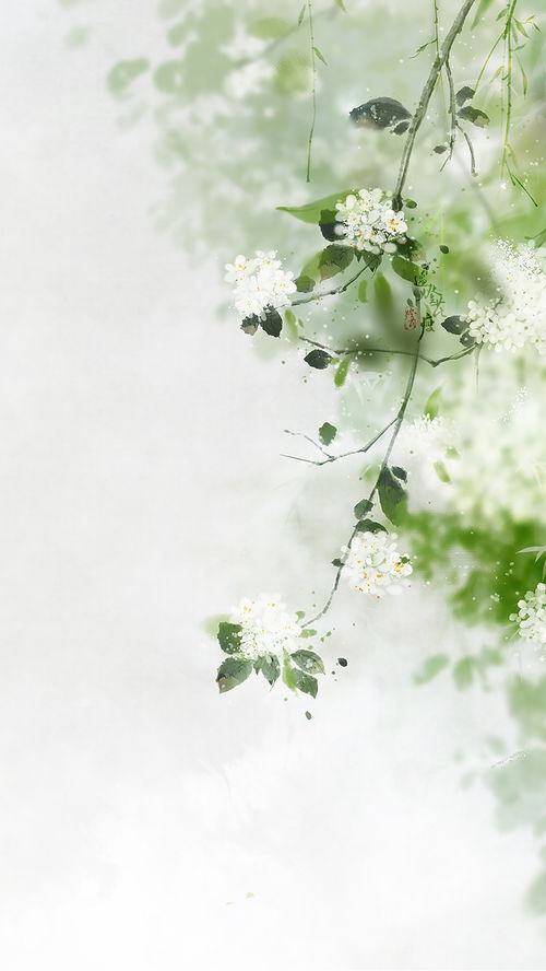 5. 花草植物：天然赋予生命力