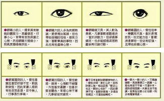 一、富相：比较有可能会成为富人的面相