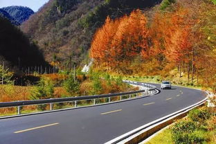 一场说走就走的闽北自驾：南平到福州的惊险与惊喜