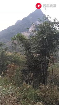 广西风水那些事儿，看完笑死个人