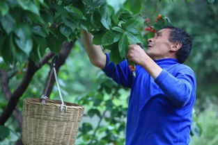 白鹿原现代农业示范园塘村（还行吧？）