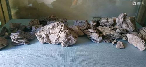 青龙石在风水上到底有没有特殊的作用呢？