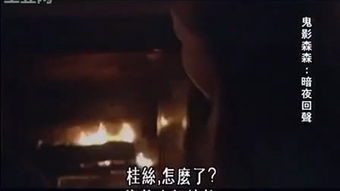 回音在耳畔