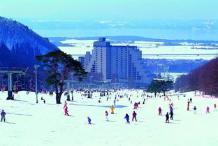 三、 自然教育：胶龙海滨的生态课堂