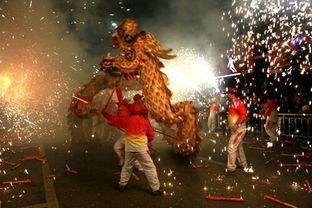 苗族新年习俗：非遗传承，火龙舞动，年味浓！