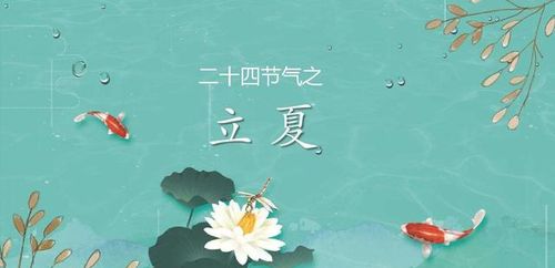 千年立夏风俗，南通传承爆款秘籍