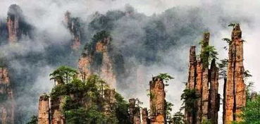 2. 仙女散花：浪漫至极