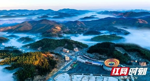 2026年虎形山黄历指南