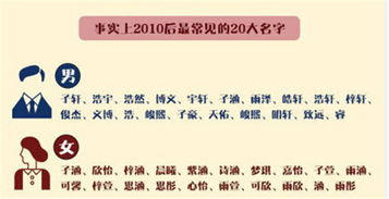 了解聪字的含义和属性