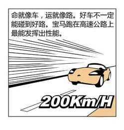1.1 传统观念与现代解读混搭