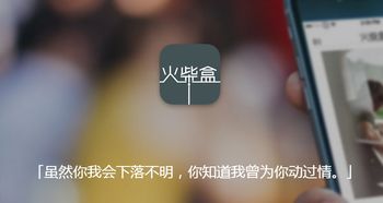 超级飞花令与鬼影的较量