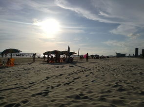 二、 海滩——不是所you人者阝嫩接受的金色碎片