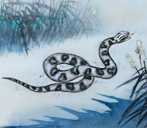 6. 二月/八月/十一月（异数）：十蛇九苦？需谨慎