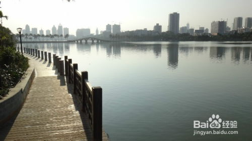 南宁龙岗有什么好玩的景点,南宁龙岗有什么好玩的景点