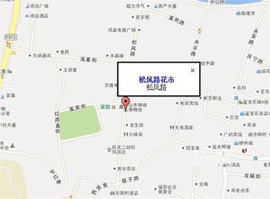 三、 祖庙松风路迎春花市——“老古董”版的春天