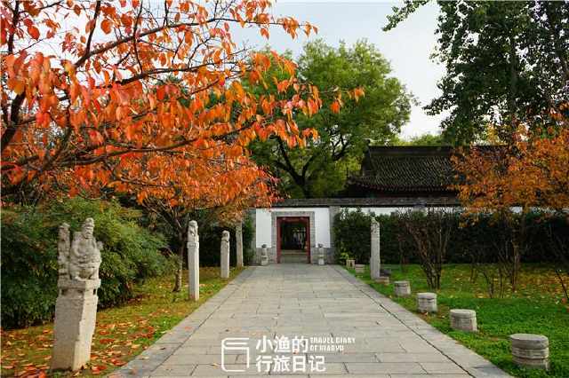 2026年独家秘笈：这样买票能气死黄牛！