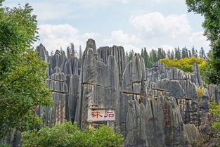 石林魔咒：当5A景区变成大型剧本杀现场