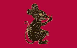二、 星座与生肖交错的命盘配对