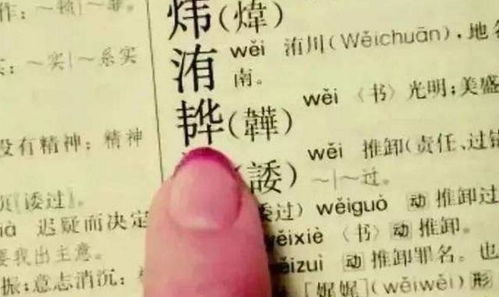 为哪些这么乱也没关系？——情绪比规则更十分沉关键！