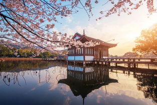3. 太子湾公园：浪漫与炎热爱情的天堂
