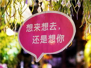 “湘韵相亲，古今交融，爆款婚恋新风尚”