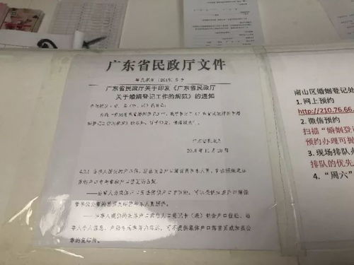 五、 杨柳木月五行