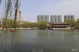 门票贵到离谱？玉湖公园的隐藏福利让你尖叫！