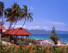 四、 噪音 & 随机插曲（请自行忽略）