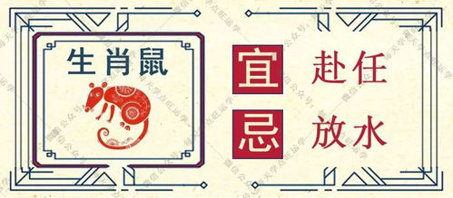 9月15日兔子运势具体表现是什么？