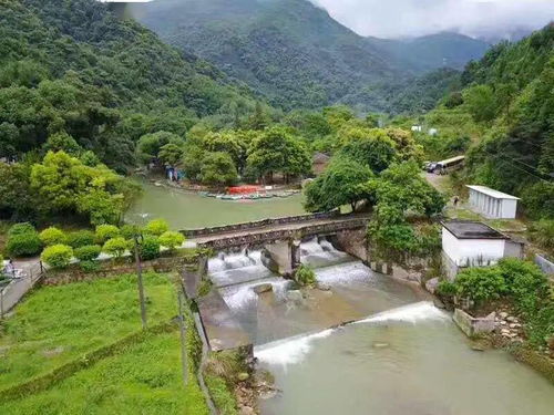 5. 山景观光