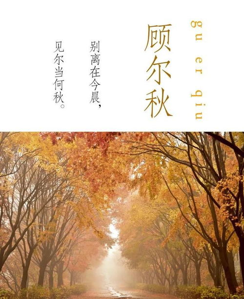一、起名的浪漫与荒诞——父母的心声与时代的撞击