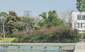 三、 院子招财风水布局