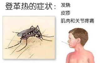 螣蛇盘着你