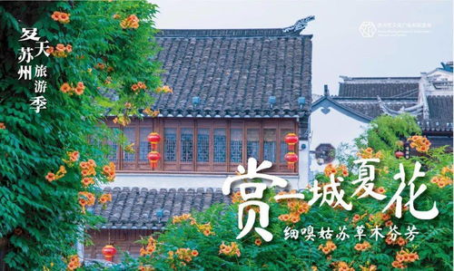 苏州拙政园：白天去就是找罪受！