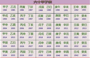 甲子与乙酉：互补中的挑战与较长较大远