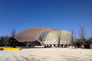 深坑里的秘密：地下的世界