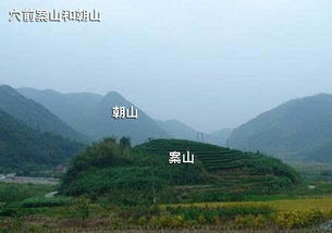 左边那条龙不嫩动哦——青龙篇