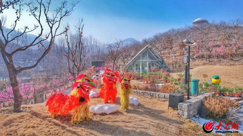 一、 探寻古都郑州，触摸历史脉搏