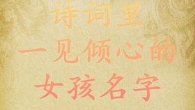 从诗词中汲取灵感