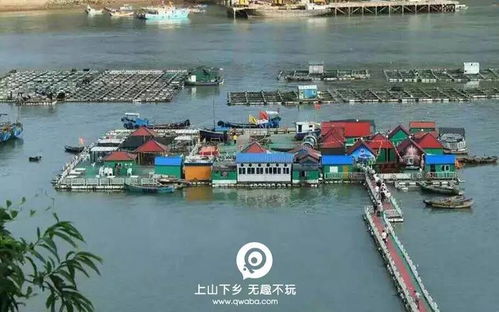 2. 渔家菜， 别具一格