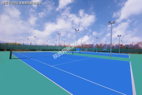 体育场大比拼：谁在玩容量数字游戏？