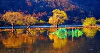 四、雁鸣湖：水墨画卷般的风光