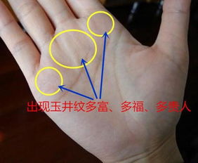 手相财富宫在哪里,鼻子财富宫在哪里