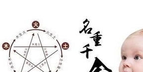 为哪些说虎宝宝特别需要补木？
