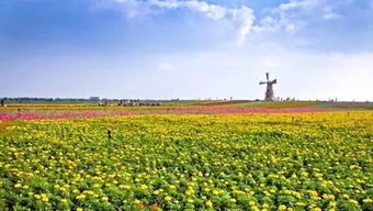 震惊！98块在牛角大圩竟然能这样玩？2026年运势大揭秘
