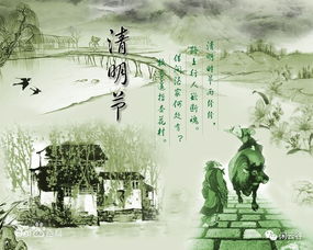 星座运势的诡异指引