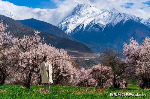 惯与钱，该花就花